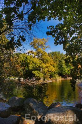 Park Wilsona