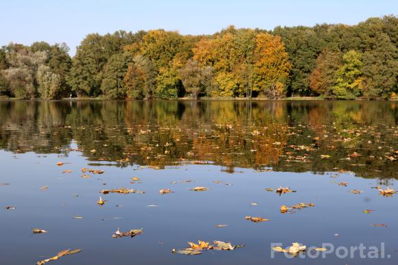 Październikowa Rusałka