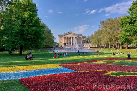 Tulipanowy dywan "Podaj rękę Ukrainie"