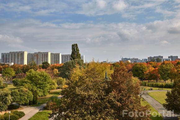 Park Wł Czarneckiego w jesiennych kolorach