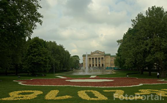 Kwiatowe dywany w Parku Mickiewicza