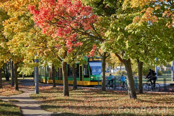 Tramwajem czy rowerem? Na pętli Połabska