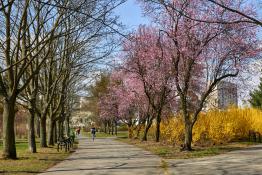 Park Wł Czarneckiego  Os Przyjaźni