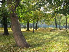 Poznański park