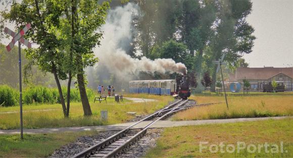 Kolejką do Zoo