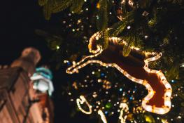 Koziołki na choince