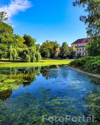 Park Karola Marcinkowskiego