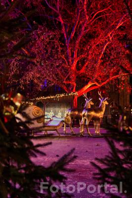 Świątecznie w Poznaniu