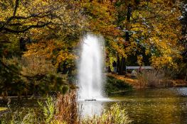 Fontanny w Parku Wilsona