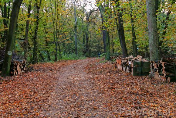 Park Dębina