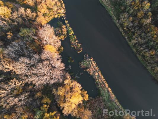 Jesienna perspektywa nad Wartą