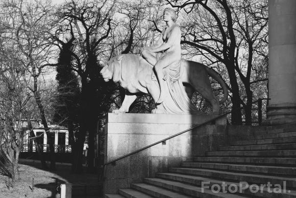 Światłocienie Poznania