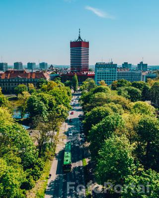 Poznański park w centrum