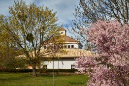 Wiosna w Poznaniu - Ogród Botaniczny