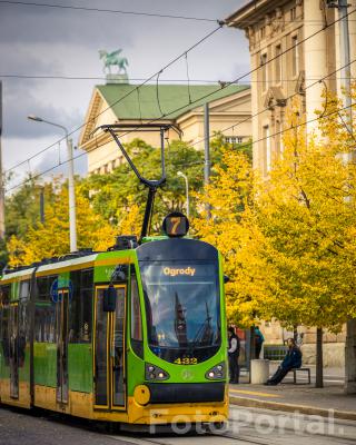 Jesienny  Poznań