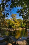 Park Wilsona