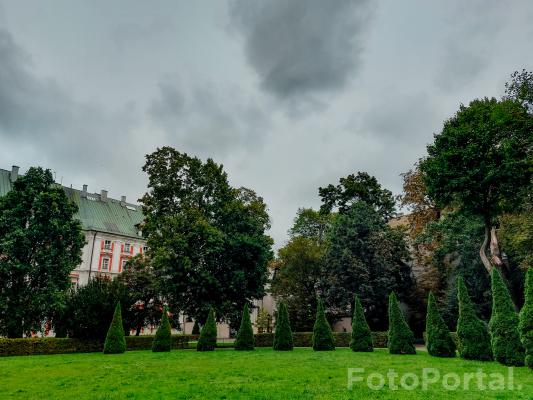 Chmurki nad parkiem