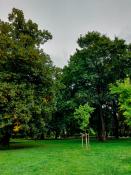 Poznański park
