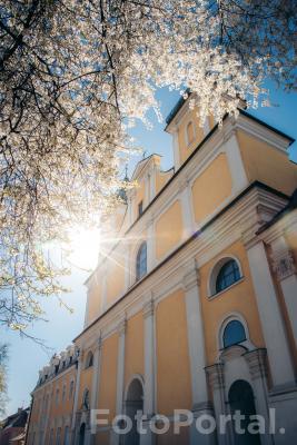 Kościół franciszkanów w wiosennej szacie