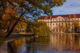 Park Karola Marcinkowskiego