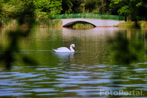 Park Sołacz