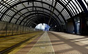 Światłocienie Poznania