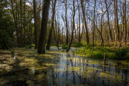 Bagno Rusałka