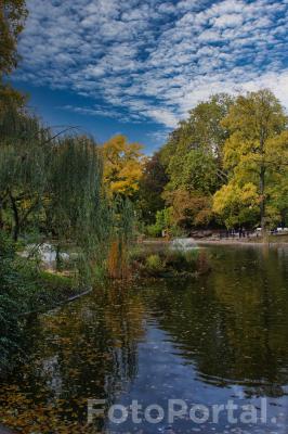 Park Wilsona