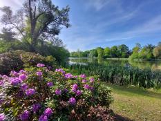 Nowe spojrzenie na Park Sołacki