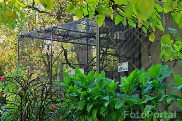 Małpi gaj na terenie Starego ZOO