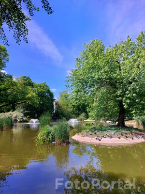 Nowe spojrzenie na Park Wilsona