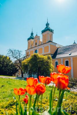 Klasztor Franciszkanów