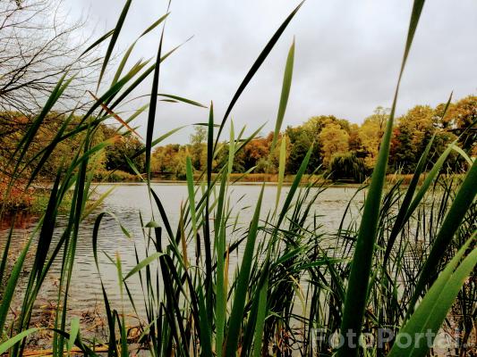 Park Sołacki