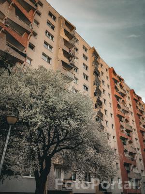 Wiosenny blok