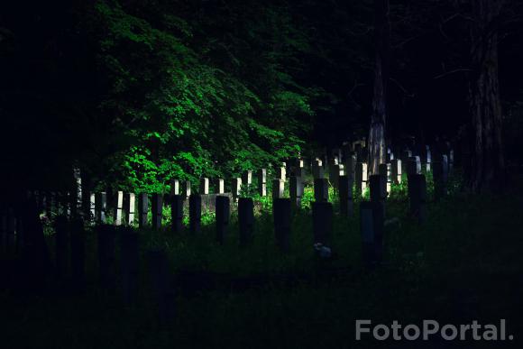 Park Cytadela, Aleja Armii Poznań